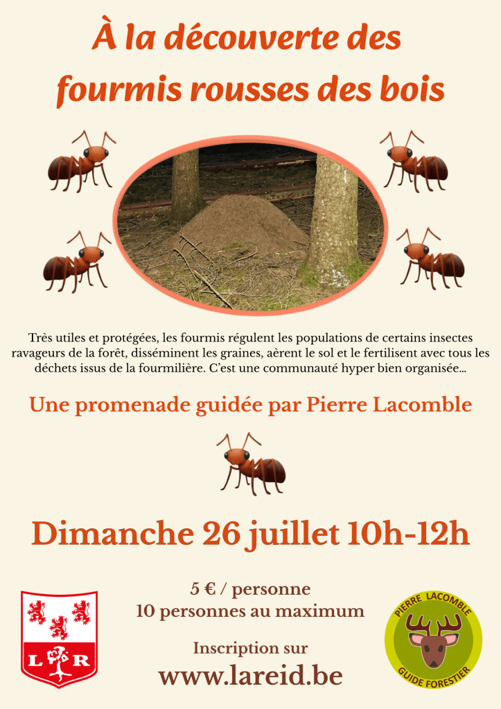 L’image courante n’a pas de texte alternatif. Le nom de fichier est : 2026-07-26-affiche-fourmis-rousses-v2.png